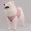 Ropa para Mascotas para Perros, Atuendos de Primavera y Verano para Golden Retrievers, Perros Medianos y Grandes, Atuendos Pequeños de Otoño e Invierno, Chalecos para Samoyedos, Estilo Delgado