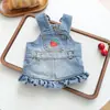 PETCIRCLE 2026 Nuevo Producto: Vestido Sencillo y Versátil para Mascotas Perros y Gatos - Vestido de Mezclilla con Fresas y Tirantes
