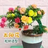 Plántulas de Girasol de Doble Pétalo en Maceta, Flores Grandes con Raíces y Capullos, Florecen en Todas las Estaciones, Plantas Fáciles de Cultivar para Interiores y Exteriores
