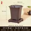Maceta cuadrada creativa de tubo para letrero, maceta para flores, planta suculenta, cálamo, maceta bonsái en maceta, maceta simple cuadrada de resina para cintura, mayoreo