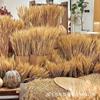 Decoración Paisajística de Campo de Trigo con Espigas de Trigo y Arroz, Cosecha de Otoño, Instalación de Arte Creativa, Accesorios de Exhibición de Ventana de Otoño