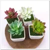 Venta al por mayor de fábrica planta suculenta artificial mini planta mini Saussurea Flor de Loto Flor de Loto Decoración para el hogar boda Planta verde de PVC