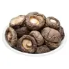 Champiñones shiitake secos Gutian, productos nuevos frescos a granel, venta al por mayor comercial, aptos para hacer sopa, sin desecante, ingredientes para restaurante, disponibles para entrega