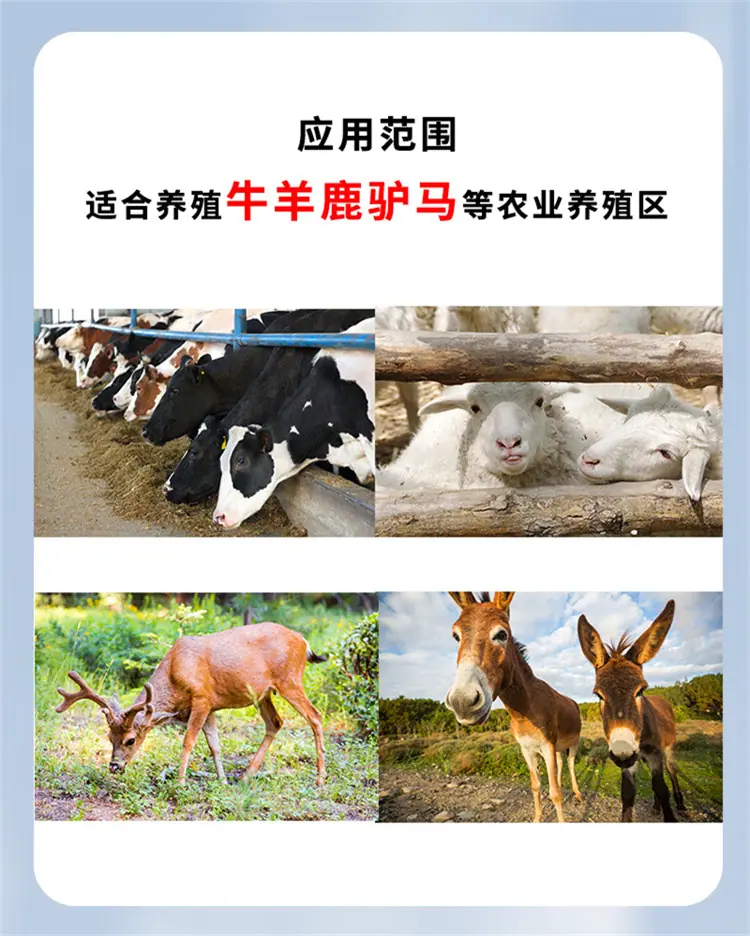 图层 7.jpg