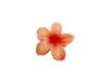 Grampos de Cabelo Coloridos de Plumeria Transfronteiriços Europeus e Americanos, Grampos de Cabelo Sofisticados e Exquisitos, Pétalas de Flores, Grampos de Cabelo, Presilhas de Tubarão para Mulheres