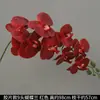 Flores de Orquídea Realistas de 38 pulgadas de Amazon para Fondos de Boda y Decoraciones Florales Orquídeas Artificiales