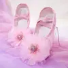 Zapatos de Ballet para Niñas Suela Blanda Zapatos de Baile Princesa de Hielo y Nieve Zapatos de Garra de Gato Lindos Zapatos de Baile Zapatos de Espectáculo Bordados Bebé