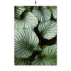 Pintura Decorativa Moderna Verde Flor Fresca Tulipán Arroyo del Bosque Agua Arte Mural Sala de Estar Sofá Fondo Pintura de Pared