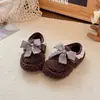 Sapatos Casuais Femininos de Veludo Espessado com Pelo de Algodão Duplo 2025 Inverno Novo Doce Lolita Renda Princesa Sapatos de Algodão