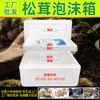 Caixa de espuma para caixa de Tricholoma matsutake 1kg 2kg 4kg incubadora expressa de e-commerce caixa de embalagem para morango Embalagem de Morchella
