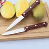 Cuchillo Pequeño Curvo para Frutas, Pelador de Piña, Cuchillo Especial para Cortar Frutas de Frutería, Cuchillo Portátil para Frutas, Gadget de Cocina