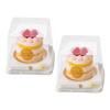 Caja de embalaje para pastel de 2 y 3 pulgadas, minipostre de 2 y 3 pulgadas, lasaña occidental, mousse, pastel, rollo, caja de embalaje blíster