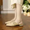 Zapatos Mary Jane Retro de Tacón Bajo Profesionales para Primavera y Verano 2025 Estilo Nuevo Sandalias Cómodas de Punta Cerrada para Mujer Tacones Planos Estilo Francés