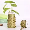 Los más vendidos de Amazon: Hojas Artificiales, Cuerda de Cáñamo, Cuerda Tejida, Empaque de Boda Hecho a Mano, Decoraciones de Enredadera DIY, Directo de Fábrica