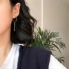 Pendientes de Aguja Plateada, Estilo Celebridad de Internet Coreana, Sencillos y Geniales, Estilo Largo, Pendientes para Cabello Corto, Pendientes de Moda para Mujer, Pendientes de Borla de Alta Gama