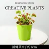 Planta em Vaso Dionaea Muscipula Repelente de Mosquitos Planta Carnívora Planta Infantil Planta Jarro Celebridade da Internet Observação de Alunos Planta Verde Atacado