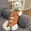 Roupa de esterilização para gatos, roupa de esterilização estilo bandagem pós-cirúrgica para cães e gatos, roupas e suprimentos pós-cirúrgicos para gatos e cães