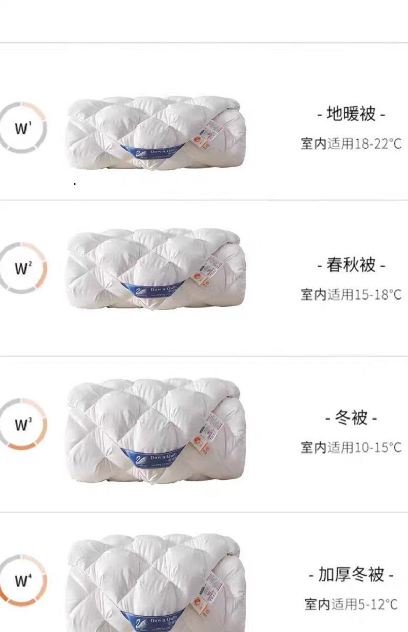 微信图片_20241213161723 - 副本