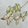 Decoración de Sala de Estar para el Hogar Nórdico Planta Verde Artificial de Hoja de Taro de Colores con Textura Realista, Material de Hoja de Cinta Impreso en Seda, Planta Falsa Directamente de Fábrica
