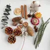 Casca de fruta faça você mesmo, pinha, lascas de madeira, folhas, flores secas, combinação de frutas secas, decoração de natal, decoração de jardim de infância, adereços retrô