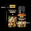Aceite Esencial de Rosa Lavanda Salón de Belleza Cuerpo Gua Sha Masaje Tuina Baño con Aceite Esencial Jengibre Productos para el Cuidado de la Piel