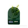 Folhas de Plantas Simuladas Folhas de Dinheiro de Três Pontas Enfeites de Decoração para Casa DIY Folhas de Dinheiro Planta Verde Acessórios para Arranjos de Flores Decoração