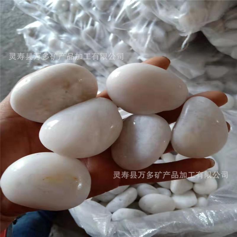 mmexport1554853949820