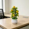 Amazon bonsai artificial de 7 árvores frutíferas, plantas frutíferas festivas e prósperas em vasos para decorações de casa e sala de estar