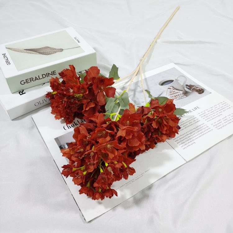 IMG_20220224_152730_副本