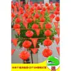 Linterna de bandera de boda decoración de puerta de patio rural diseño de escena flor de boda al aire libre suministros de boda