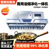 Purificador de Humo de Aceite Integrado con Circulación Interna para Emisiones Interiores, Adecuado para Restaurantes de Barbacoa y Establecimientos Grandes, Alta Potencia, Hecho a Medida por Fabricantes