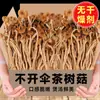 Hongo de Árbol de Té, Productos Secos sin Azufre para Sopa, Hongo Shiitake, Hongo de Árbol de Té, Hongos Comestibles, Fabricante Mayorista Comercial Fresco, Se Puede Enviar en Nombre de Otros