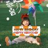 Niño Fotografía Decoración Escena Cumpleaños Globo de un año Picnic al aire libre Banner Pequeño de Mano Tesoro Femenino Lindo