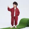 Conjunto de cárdigan para niño, Atuendo de otoño para niños, Elegante conjunto de dos piezas para pequeños caballeros, Ropa fresca de principios de otoño para niños