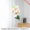 Flores de Lírio de Madeira com Pétalas Grandes São Exibidas na Sala de Estar com Vários Arranjos Florais Combinados com Peças Decorativas Suaves e Arranjos Florais em Vasos na Entrada