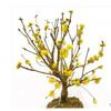 Jardín de Flores para Dropshipping, Wintersweet, Ciruela Roja, Ciruela Negra, Ciruela Verde, Ciruela Blanca, Brote de Wintersweet Corazón Liso, Maceta de Flor de Ciruelo