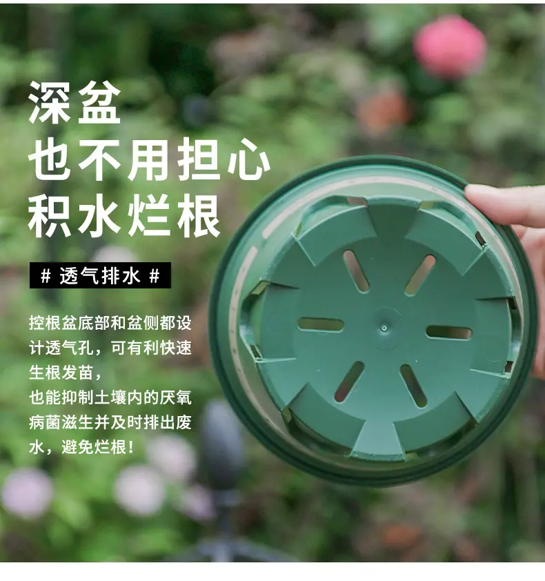 丽朵印花盆_05