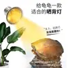 Mascota Reptil Tortuga Bombilla de Sol de Espectro Completo UVA UVB para Banear la Espalda Lagarto Serpiente Mascota Trepadora Bombilla para Banear la Espalda