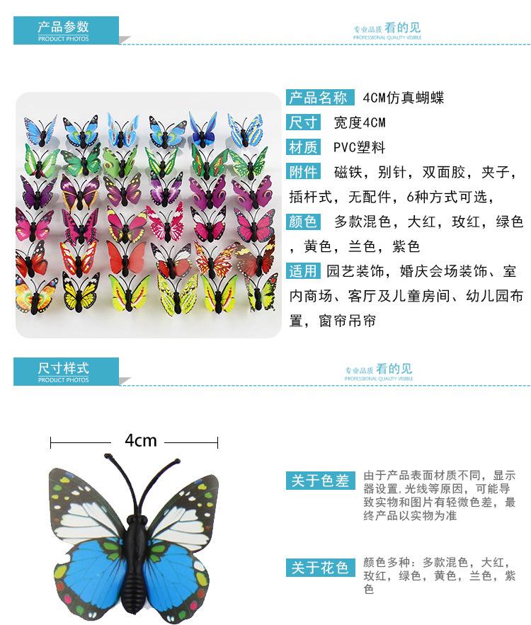 蝴蝶1_04(1).jpg