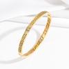 Pulseira Feminina Transfronteiriça de Aço Titânio Galvanizada com Diamantes Moda Europeia e Americana Gimono Pulseira de Aço Inoxidável Pulseira Joia