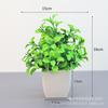 Artificial verde planta bonsai interior desktop paisagem decoração planta pequenos ornamentos eucalipto Lysiana decoração de casa flor