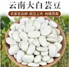 Nuevo stock de alubias blancas grandes tipo riñón de granjas de Yunnan, alubias blancas de tamaño grande, secas y adecuadas para estofar con costillas de cerdo, frescas y carnosas después de remojarlas