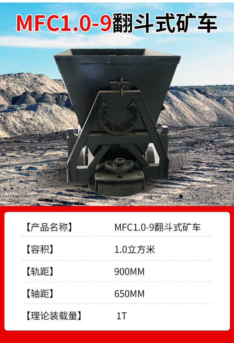 MFC0_04.jpg