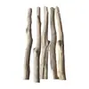Ramas, Troncos de Árboles, Árboles Decorativos, Leños, Troncos de Árboles, Ramas Secas, Separadores de Sala de Estar, Ramas Secas, Ramas