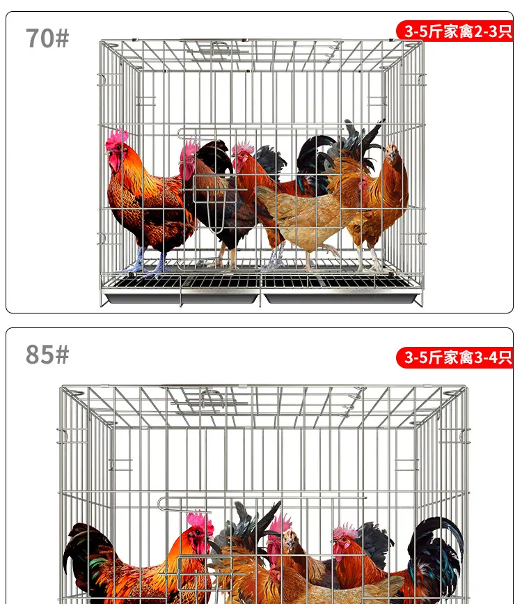 鸡笼子建模_15