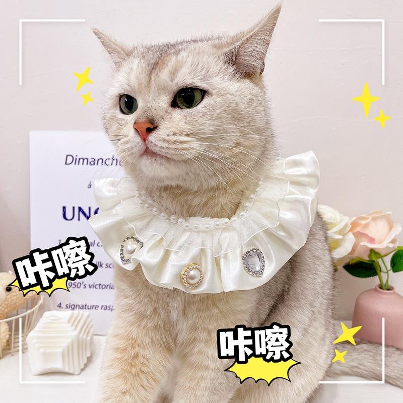 IMG_6509(20230317-225837)_副本