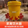 Bebedouro Automático para Frangos, Patos e Gansos; Bebedouro Automático para Aves; Balde de Água Especializado para Agricultura; Bebedouro para Aves Pequenas