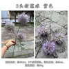 Arranjo Floral Decorativo Suave: Dente-de-leão Artificial com 3 Bolas de Cebola, Flor de Cebola, Hortênsia, Decoração de Casamento e Casa, Flores Artificiais para Atacado