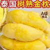 Almofada Dourada Tailandesa Carne de Durian Semente Importada Sem Caroço Congelado Frio Fruta Fresca Amadurecida na Árvore SF Express Frete Grátis Comercial