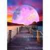 Pintura de diamante de paisagem de lua nova diamante cheio de diamante diy bordado de diamante sala de estar quarto pintura decorativa transfronteiriça para os fabricantes aprovarem